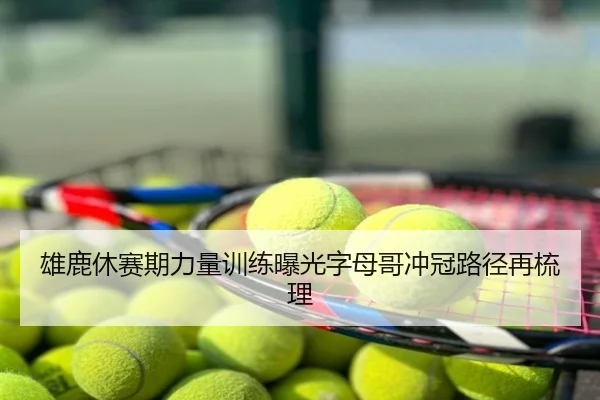 雄鹿休赛期力量训练曝光字母哥冲冠路径再梳理